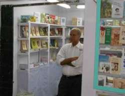 justwebsitedesigning.com Glimpses